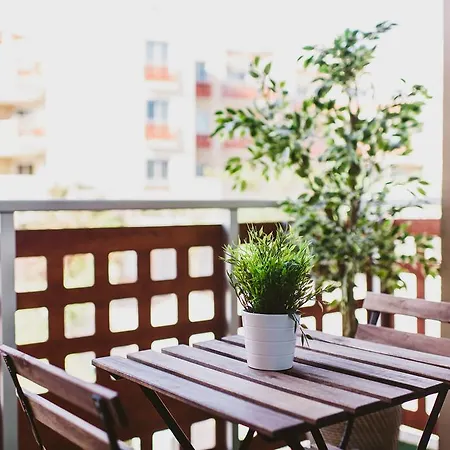 Daire Apartamento Medano *